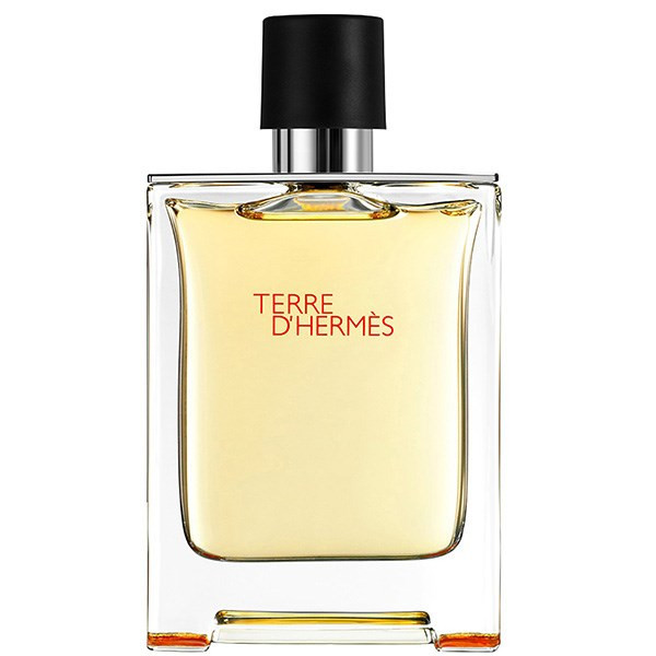ادو تویلت مردانه هرمس مدل Terre De Hermes حجم 200 میلی لیتر