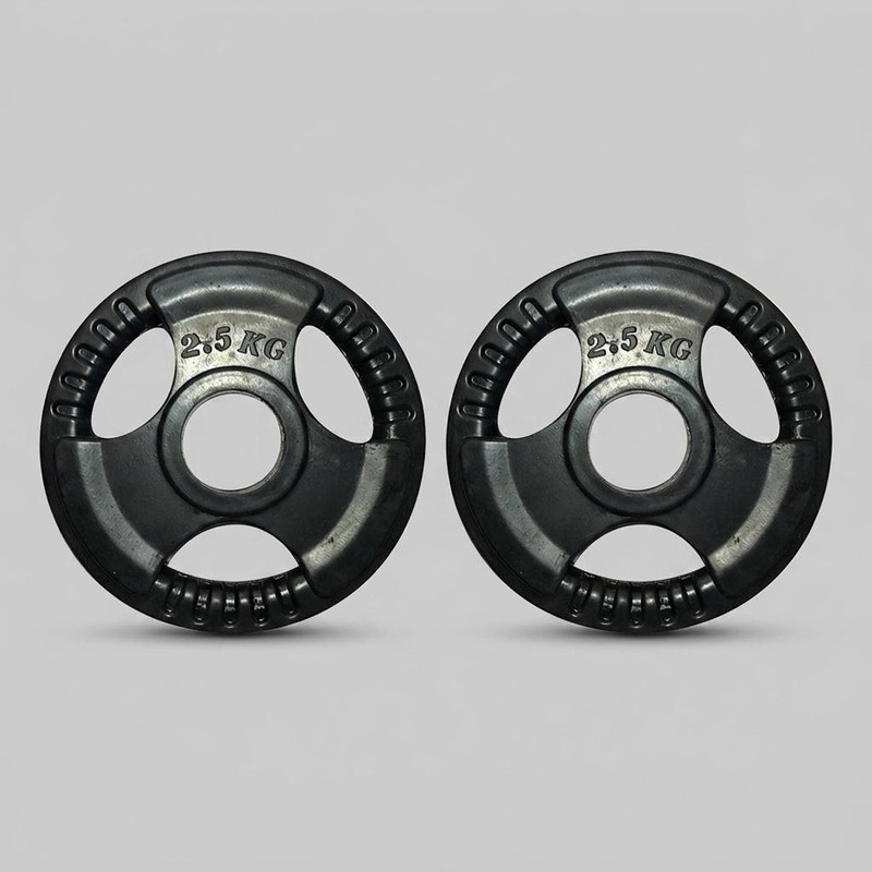صفحه هالتر مدل باشگاهی 2.5 کیلوگرم بسته دو عددی
