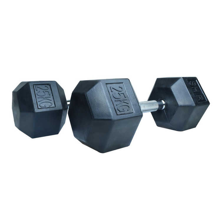 دمبل اس اچ ار کد B9 وزن 25 کیلوگرم بسته 2 عددی