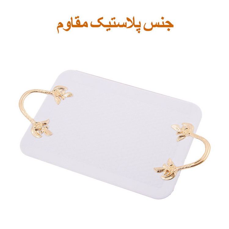 سینی مدل مجلسی