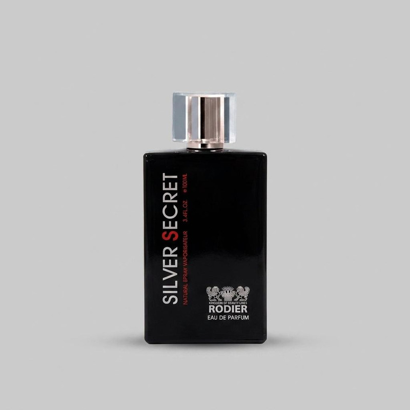ادو پرفیوم مردانه رودیر مدل Silver Secret حجم 100 میلی لیتر